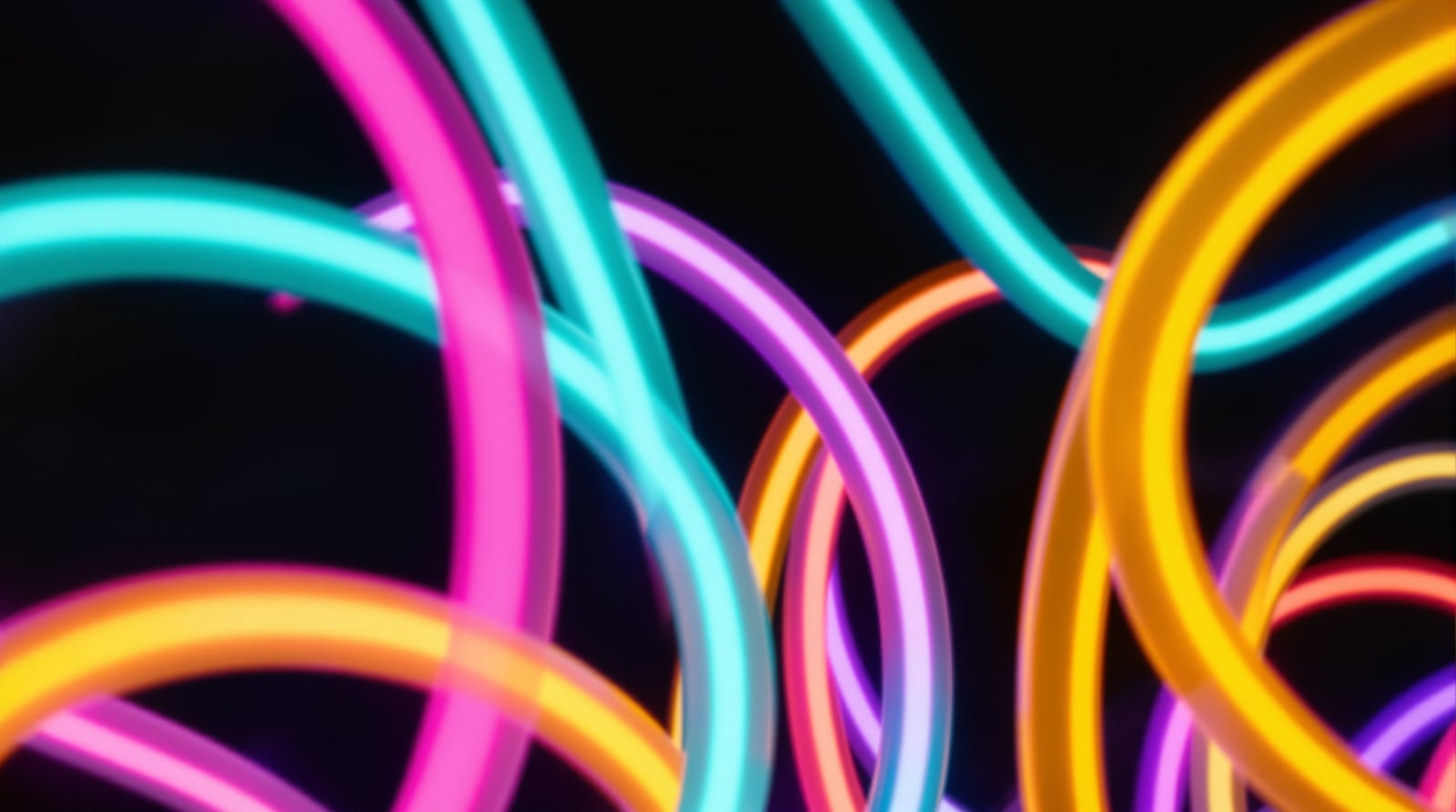 Glowing curves of pink, teal, yellow and violet neon tubing against a dark background